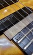 画像7: ALEMBIC Electrum S-S-H / Exotic Maple Quilt Top (7)