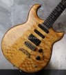 画像13: ALEMBIC Electrum S-S-H / Exotic Maple Quilt Top (13)