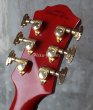 画像5: B.C.Rich USA Mockingbird / '8０ Kahler / Trans Red (5)