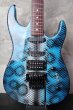 画像4: B.C. Rich Gunslinger Snake Skin Blue  (4)