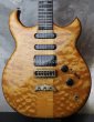 画像1: ALEMBIC Electrum S-S-H / Exotic Maple Quilt Top (1)