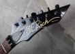 画像2: B.C. Rich Gunslinger Snake Skin Blue  (2)