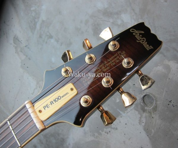 画像4: Aria Pro II PE-R100  (4)