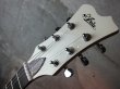 画像2: ARIA DM-01 Vintage White (2)