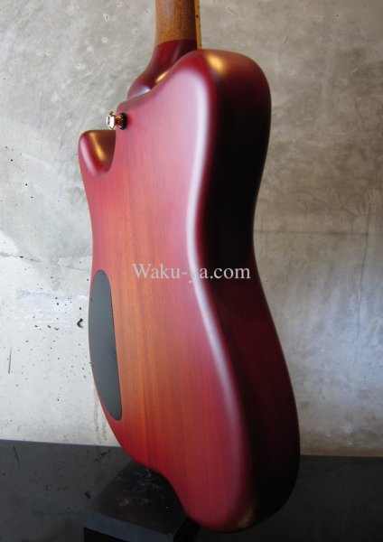 画像10: Carvin USA Custom Shop / Allan Holdsworth Signature Fat Boy HF2    (10)