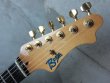 画像2: Bossa Stratocaster Custom Maple / FIRE BURST (2)