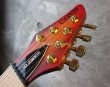 画像4: Carvin USA Custom Shop / Allan Holdsworth Signature Fat Boy HF2    (4)