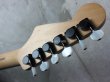 画像5: Charvel Jake E. Lee Custom MOD (5)