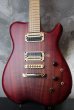 画像1: Carvin USA Custom Shop / Allan Holdsworth Signature Fat Boy HF2    (1)