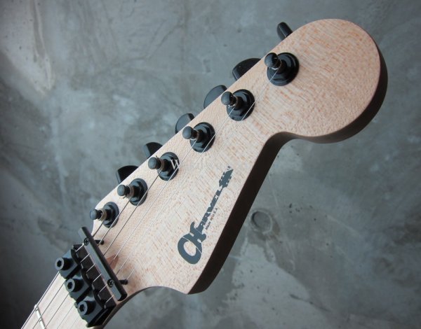 画像3: Charvel USA  Warren Demartini Signature San Dimas Cross Swords   (3)