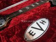 画像2: EVH Wolfgang USA Silver  (2)