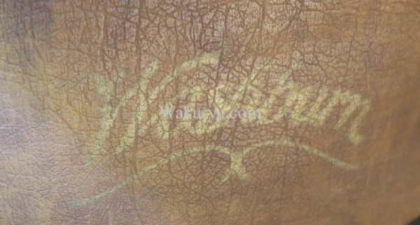 画像10: George Washburn  SBF-26 C  '83 / Natural (10)