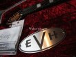 画像8: EVH Wolfgang Flame Maple Top Three Tone Sunburst (8)