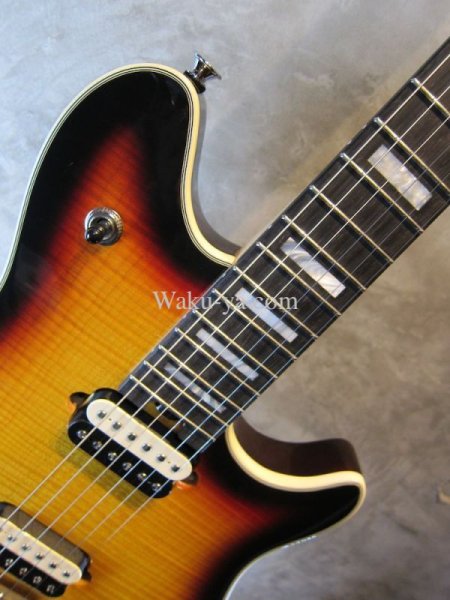 画像3: EVH Wolfgang USA Hard Tail / 3TB "New"   (3)
