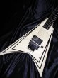 画像1: ESP Alexi Laiho SCYTHE Signature Model (1)