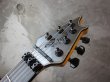 画像6: EVH Wolfgang USA Silver  (6)