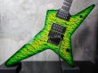 画像8: David Thomas McNaught StaRR Reptile Burst (8)