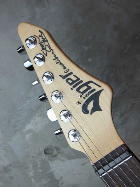 画像4: Vigier Excalibur Shawn Lane Master Signature   (4)