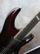 画像6: ESP Horizon FR Custom Fretless / Black Cherry (6)