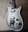 画像5: EVH Wolfgang USA Silver  (5)