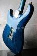 画像7: Valley Arts Custom Pro Maple Top / Trans Blue (7)