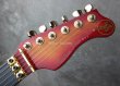 画像3: Valley Arts USA Custom Pro  / One Piece Maple / FIRE BURST (3)