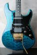 画像1: Valley Arts Custom Pro Maple Top / Trans Blue (1)