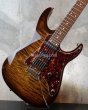 画像8: Tom Anderson Angel-Family / Guardian Angel / Tiger Eye Burst with Binding (8)