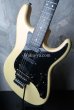 画像4: Valley Arts M-Series Deluxe Coffee White Pearl / Semi Vintage (4)