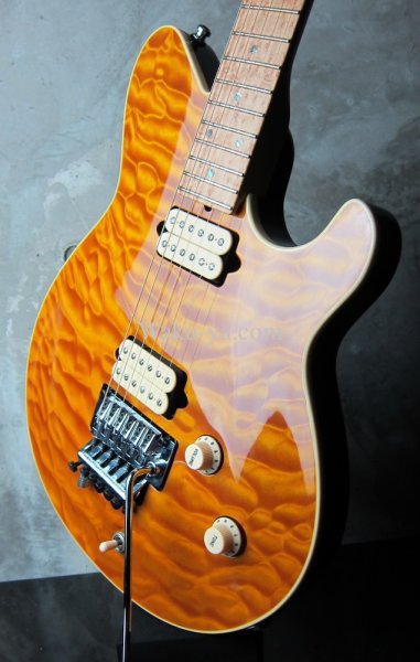 画像4: Terry Rogers Mallie Trans Amber 2002  (4)