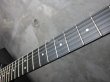 画像3: Steinberger GL-2T '91  (3)