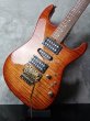 画像8: Tom Anderson Grand Am Figured Maple w/ Swicheroo / Honey Burst USED (8)