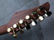 画像5: Suhr Standard Koa Natural / Reb Beach (5)