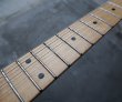 画像3: Tom Anderson Drop Top Classic Deep Bora Bora with Binding (3)