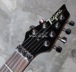 画像2: TAGIMA Kiko Loureiro Signature K1 (2)