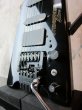 画像6: Steinberger GL-4T Elite (6)