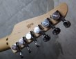 画像5: Tom Anderson Drop Top Classic Deep Bora Bora with Binding (5)