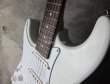 画像7: Suhr Pro Series S1/ Stratocaster Lefty / Olympic White (7)