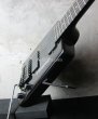 画像7: Steinberger GL-2T (7)