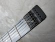 画像4: Steinberger ZT-3 Custom / Trans Black　 (4)