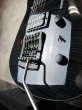 画像5: Steinberger ZT-3 Custom / Trans Black　 (5)