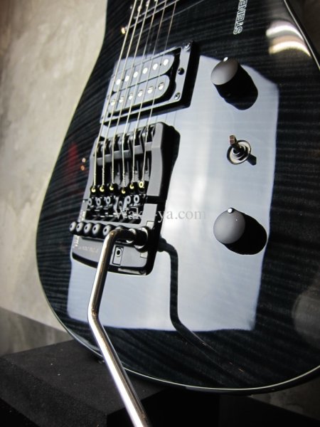 画像5: Steinberger ZT-3 Custom / Trans Black  (5)
