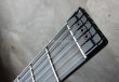 画像4: Steinberger GL-4T  (4)