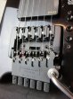 画像3: Steinberger GL-4T  (3)