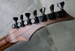 画像5: Skervesen Raptor 7 Multi Scale Black Burst (5)