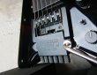 画像8: Steinberger GP-2SB  (8)