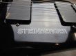 画像5: Steinberger GL-2T (5)