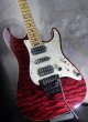 画像9: SCHECTER EX-5  22 CTM FRT / RSB / Birds Eye Flame Maple  (9)