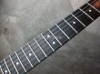 画像7: Steinberger GL-4T  (7)