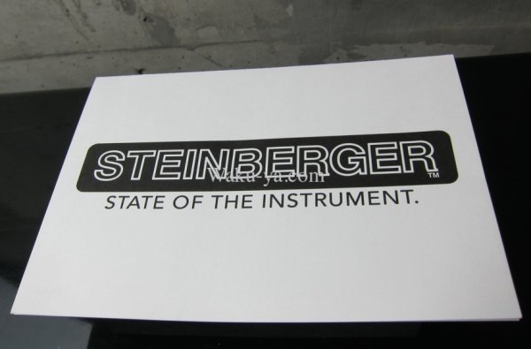 画像11: Steinberger ZT-3 Custom / Trans Black  (11)